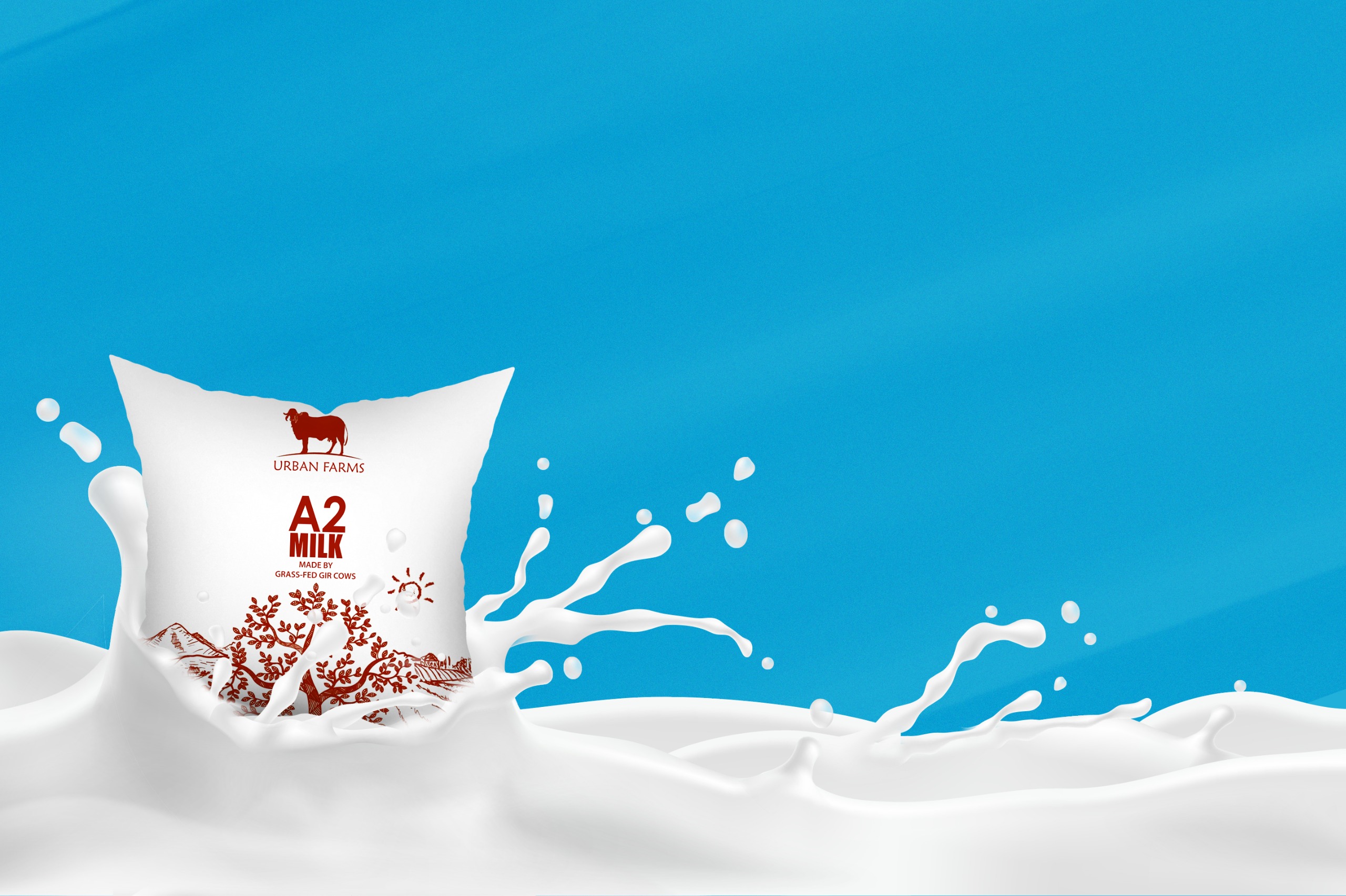 A2 milk in glass bottle