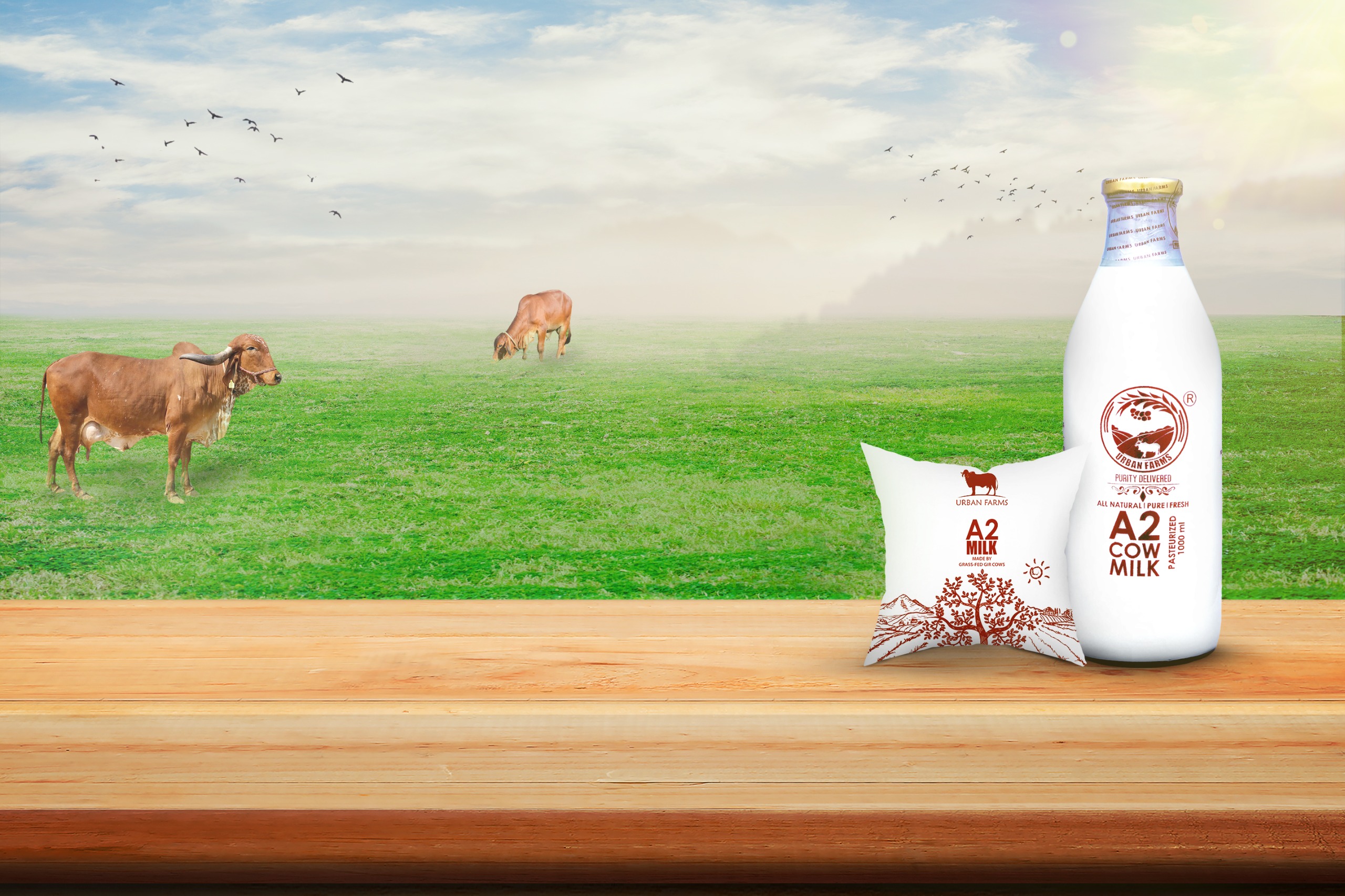 fresh a2 milk in pune