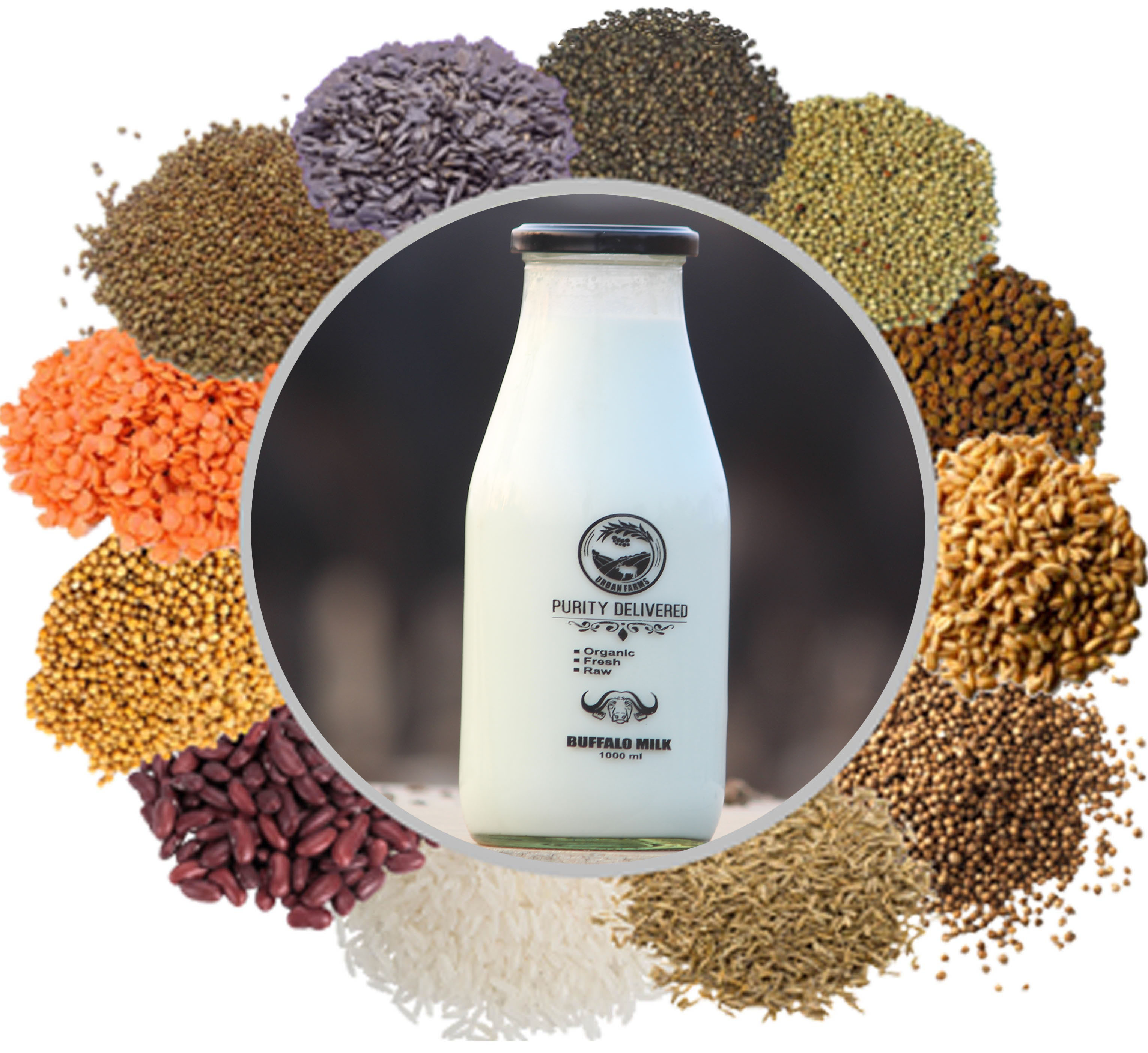 Urban Farms All Feature Product