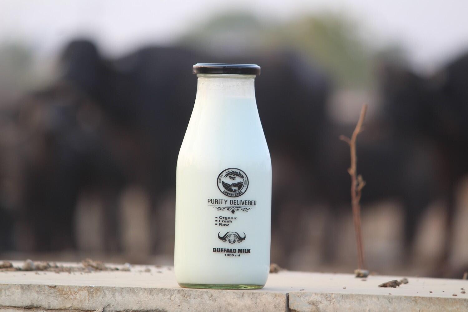 Premium A2 Desi Cow Milk