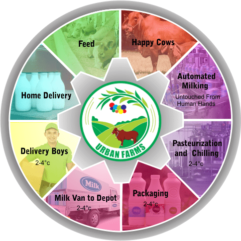  process of urbanfarmsmilk