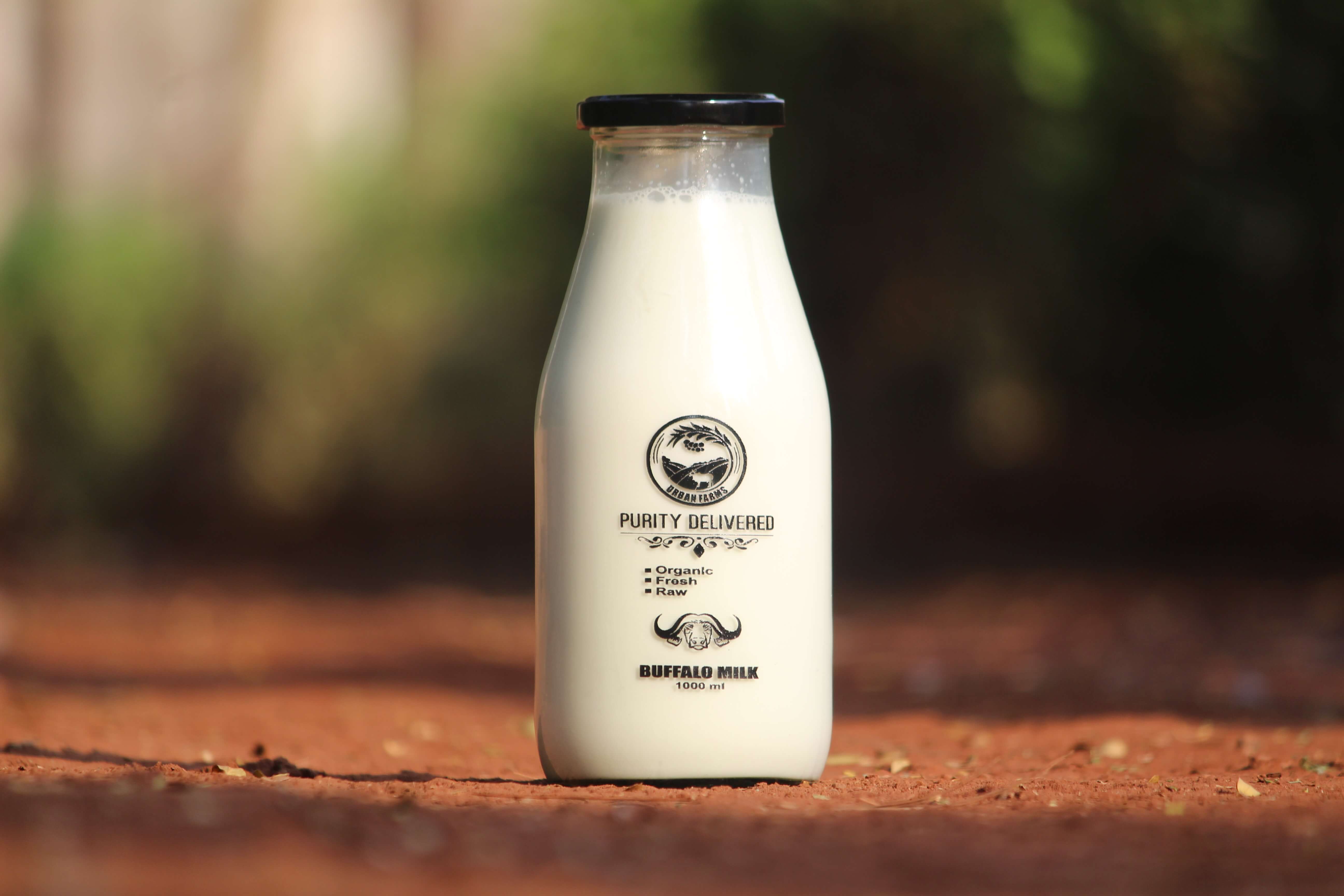 Buffalo Milk glass bottle home delivery in pune