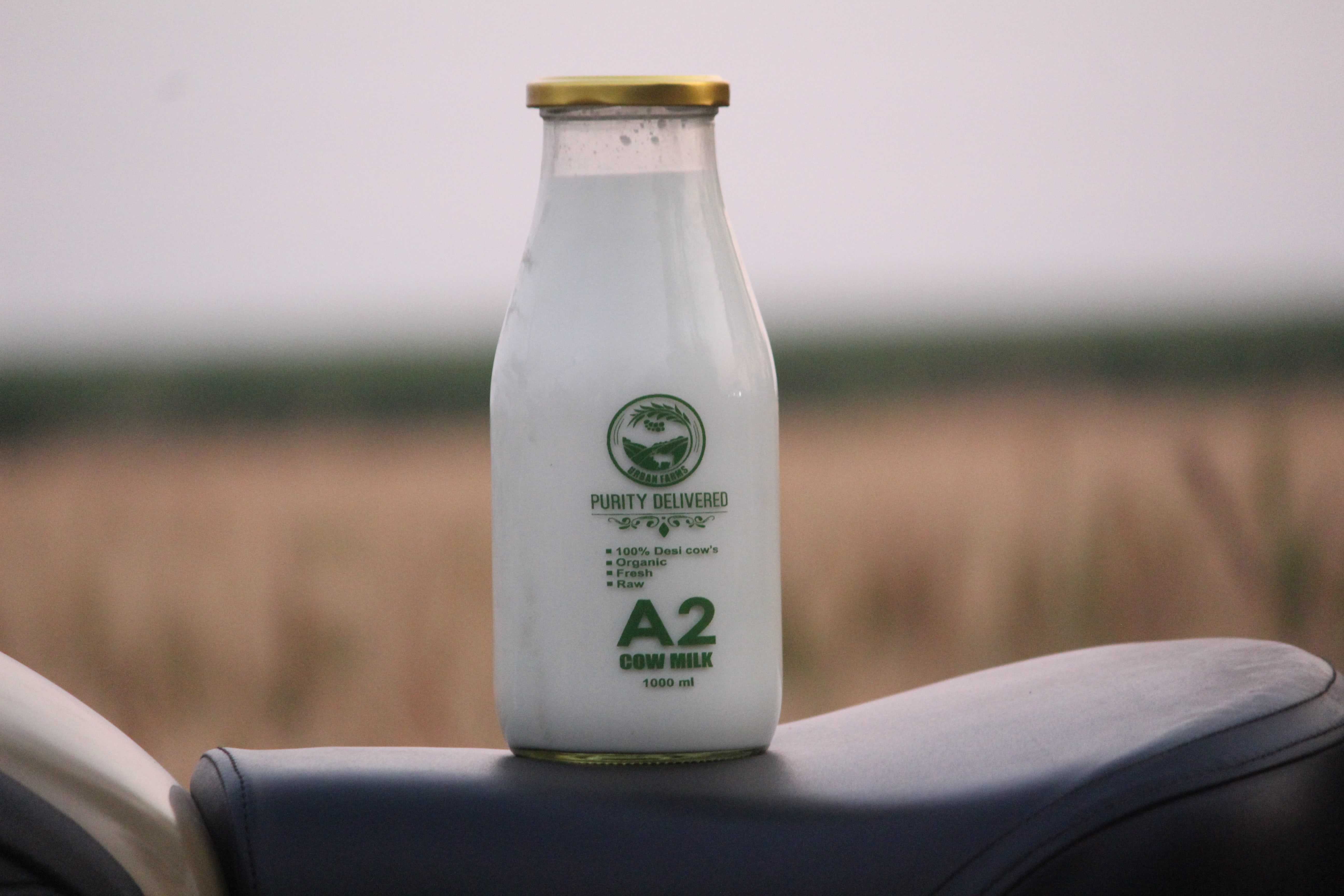 gir cow milk pune