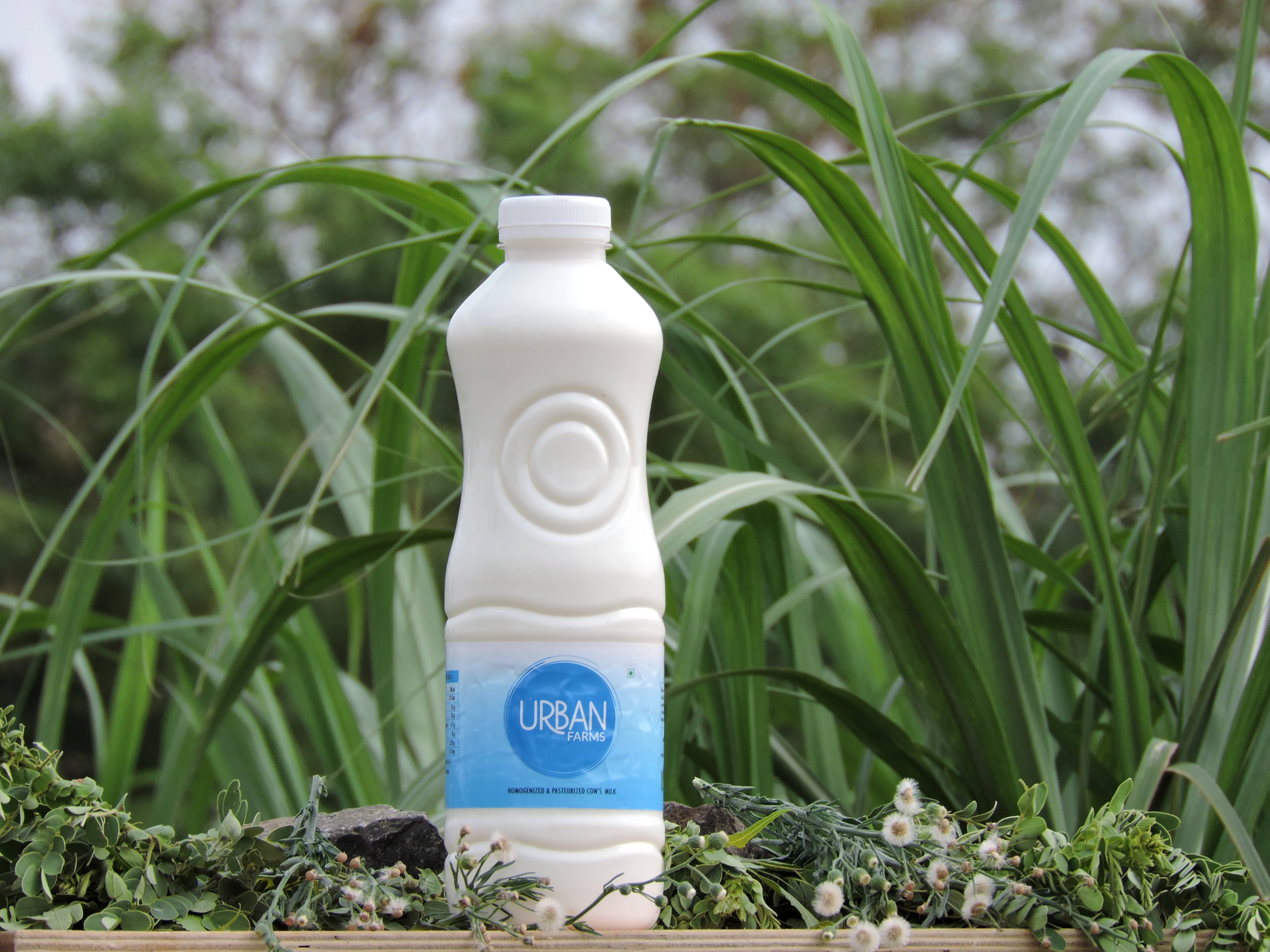 Pure Desi Pasteurized Milk